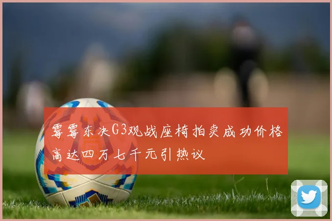 霉霉东决G3观战座椅拍卖成功价格高达四万七千元引热议