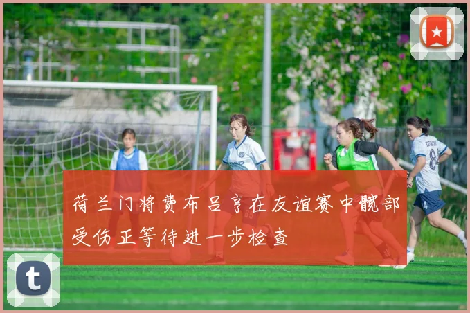 荷兰门将费布吕亨在友谊赛中髋部受伤正等待进一步检查